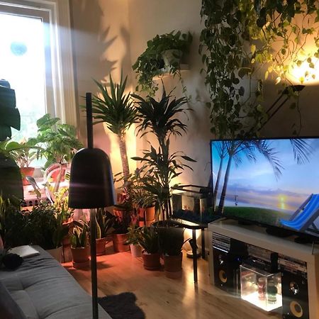 Urban Jungle Oasis In Queens! Nova York Exterior foto