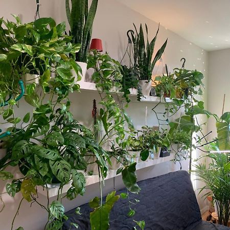 Urban Jungle Oasis In Queens! Nova York Exterior foto