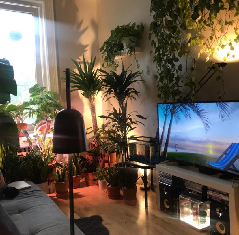 Urban Jungle Oasis In Queens! Nova York Exterior foto