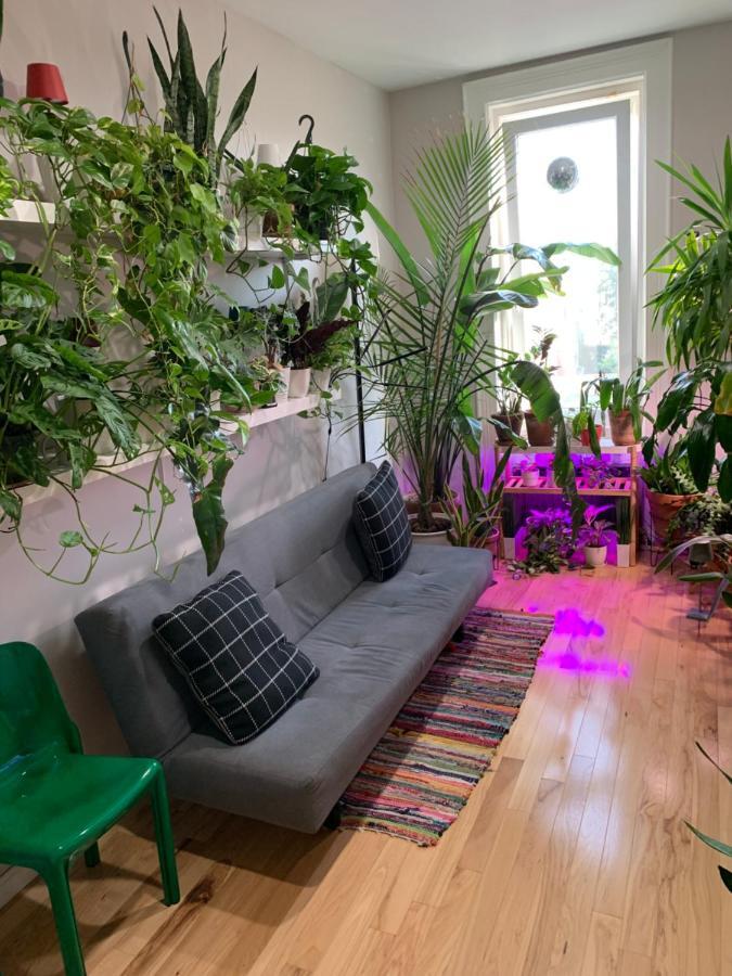 Urban Jungle Oasis In Queens! Nova York Exterior foto