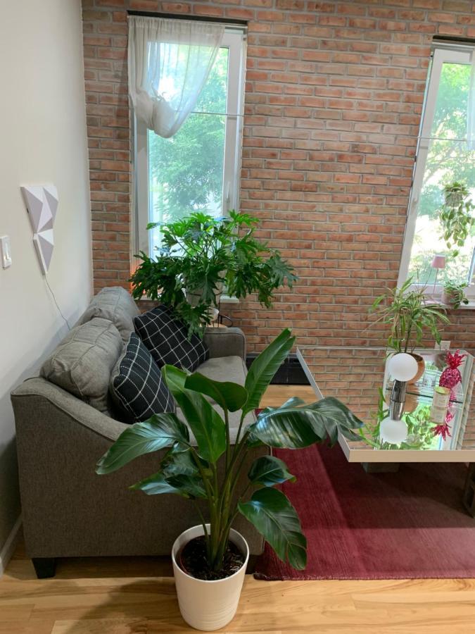 Urban Jungle Oasis In Queens! Nova York Exterior foto