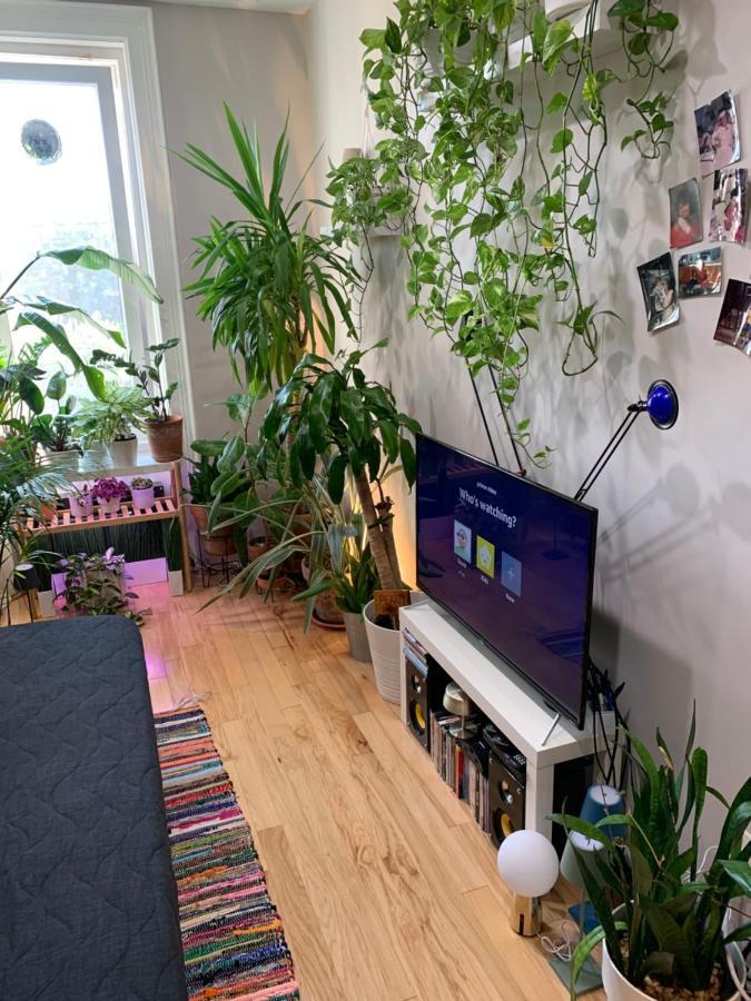 Urban Jungle Oasis In Queens! Nova York Exterior foto